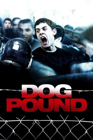 Dog Pound - VJ Junior